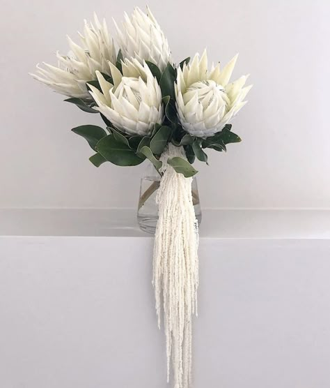 White Protea, Hanging Amaranthus, Katie White, Protea Wedding, Protea Bouquet, Modern Bouquet, Candy Flowers, Dried Florals, Modern Wedding Inspiration