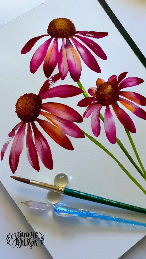 Echinacea Plant Drawing, Cone Flower Watercolor, Jeannie Dickson Watercolor, Watercolor Echinacea, Echinacea Drawing, Watercolor Coneflower, Foliage Art, Loose Florals, Loose Watercolour