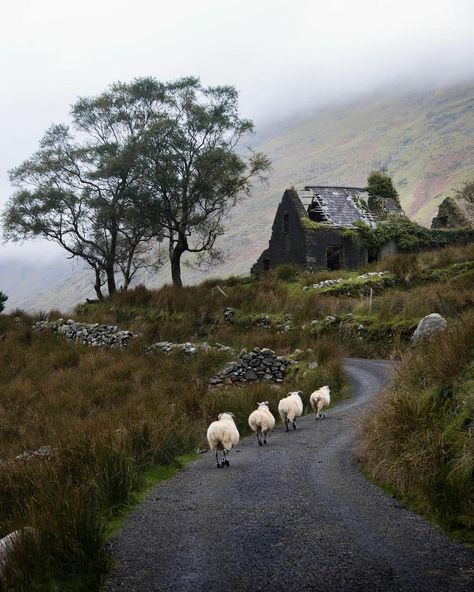 Celtic Aesthetic, Scottish Aesthetic, The Quiet Place, Cottage Witch Aesthetic, Dark Cottagecore Aesthetic, Ireland Aesthetic, Fairy Tale Cottage, Nostalgic Pictures, Country Lane