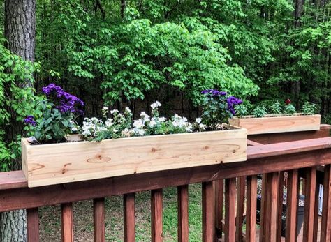 ★★★★★ ✅ No assembly ✅ Quick Shipping ✅ Fits Snug on railing ✅ Well made & as described 10/10 Recommend." Chelsea M. #railtopplanter #railingplanters #flowerboxes https://etsy.me/3Eo1Gw5 Cedar Railing, Balcony Hanging Planter, Railing Planter Boxes, Deck Planter Boxes, Ladder Planter, Deck Railing Planters, Rustic Wood Box, Balcony Planters, Vegetable Boxes