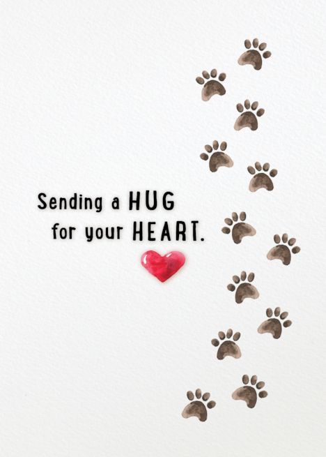 Sympathy Cat Loss, Dog Died Quotes Sympathy, Dog Condolences Loss Of Pet, Loss Of Pet Dog Sympathy Cards, Pet Loss Sympathy Messages, Loss Of Pet Card, Pet Sympathy Quotes, Sympathy Wishes, Losing A Pet Quotes