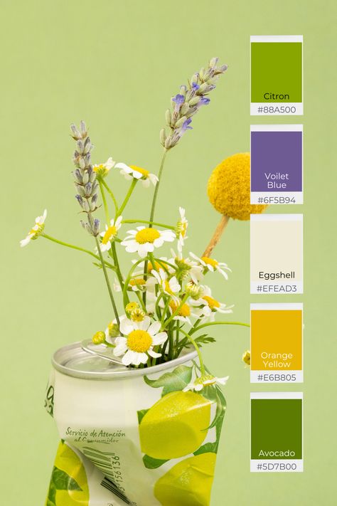 Purple Green And Yellow Color Palette, Lavendar Color Palette, Lime Green Color Combinations, Floral Baking, Green Room Colors, Lavender Color Palette, Purple Color Combinations, Green Color Combinations, Green Color Palette