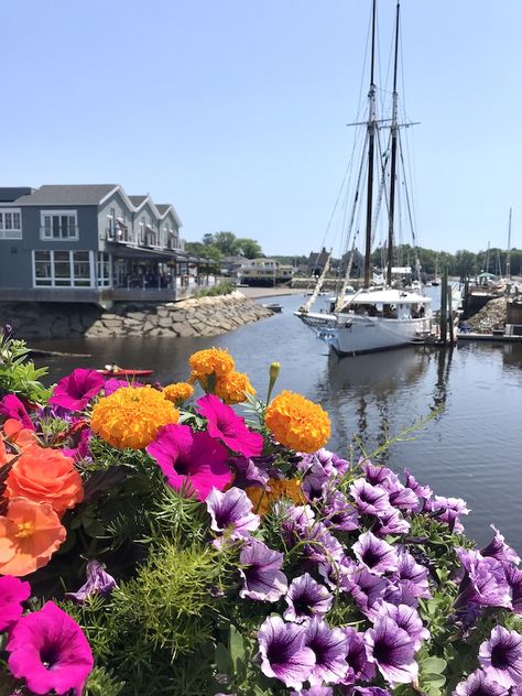 Portland Maine Aesthetic, Maine Flowers, Kennebunkport Wedding, Maine Aesthetic, Kennebunk Maine, Maine Homes, Maine Summer, Summer Roadtrip, Freeport Maine