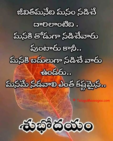 శుభోదయం Inspirational, Koteshans Telugu, Good Morning In Telugu, Good Morning Quotes Telugu, Telugu Good Morning Quotes, Good Moral Stories, Quote About Life, Top Quotes Inspiration, Morning Quotes For Friends