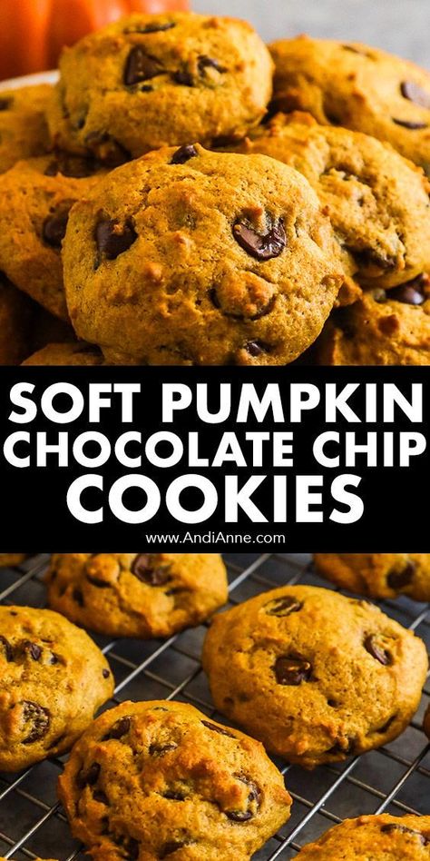 Pumpkin Chocolate Chips Cookies, Best Pumpkin Chocolate Chip Cookies, Soft Pumpkin Chocolate Chip Cookies, Pumpkin Chocolate Chip Cookies, Pumpkin Chocolate Chips, Pumpkin Flavor, Delicious Pumpkin, Gluten Free Pumpkin, Pumpkin Cookies