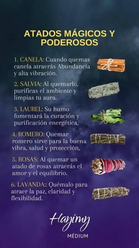 Tarot Significado, Medicine Notes, Magia Das Ervas, Magic Crafts, Positive Mantras, Magic Herbs, Magical Herbs, Magick Book, Witchcraft Spell Books