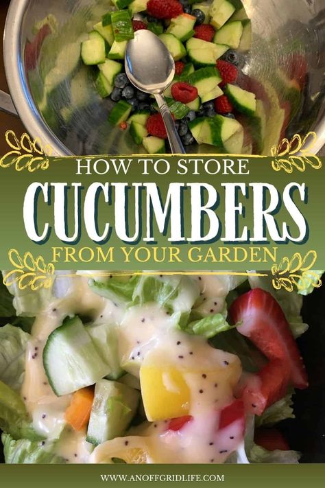 How to Store Cucumbers from The Garden Store Cucumbers, Canning Basics, How To Store Cucumbers, Homestyle Meals, Garden Cucumbers, Light Foods, Refrigerator Pickle Recipes, Food Preserving, Vegetable Harvest