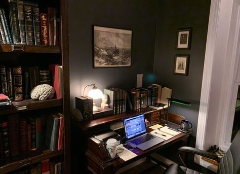 Dark Academia Studying, Studying Literature, Dark Academia Office, Literature Classics, Dark Academia Room, Academia Office, Academia Room, Books Novels, Aesthetic Dark Academia