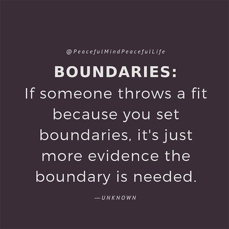 These quotes about boundaries will do more than just help you set and honor your boundaries. They will help you understand why setting boundaries can feel uncomfortable and why we have to set them anyway.  #boundariesquotes #quotes Quotes About Boundaries, Boundaries Quotes, After Life, A Quote, Woman Quotes, The Words, Great Quotes, Wisdom Quotes, True Quotes