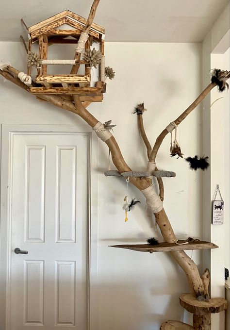 Cat tree house Modern Cat Furniture Diy, Built In Cat Tree, Home Made Cat Tree, Diy Cat Tree Real Branches, Cat Enrichment Ideas, Driftwood Cat Tree, Cat Room Ideas Small Spaces, Diy Cat Wall, Diy Cat Stuff