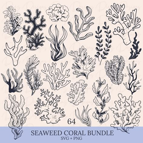 Deep Sea Plants, Algae Drawing, Coral Outline, Seaweed Drawing, Coral Motifs, Coral Clipart, Coral Illustration, Coral Tattoo, Coral Drawing