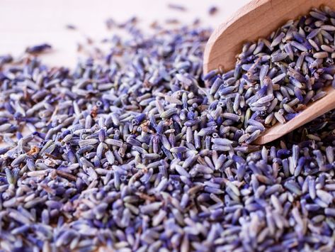 Lavender uses: 16 ways to use lavender in and around the home Lavender Food, Edible Lavender, Lavender Uses, Lavender Herb, Pet Smell, Clean Decor, Lavender Wreath, Aromatic Candles, Lavender Tea