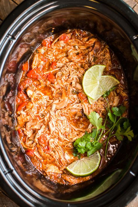 Slow Cooker Homemade Salsa Chicken Pulled Pork Ragu, Italian Pulled Pork, Tomatoes Roasted, Pork Ragu, The Magical Slow Cooker, Pasta Spaghetti, Salsa Chicken, Chicken Sandwiches, Slow Cooker Dinner