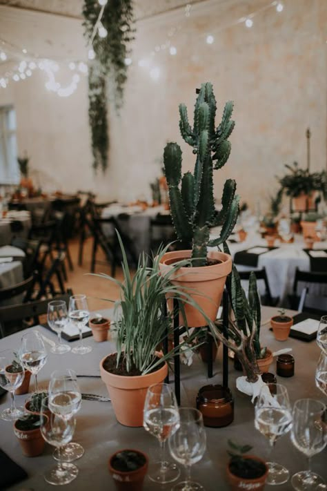 Cactus Centerpiece, Cheap Wedding Table Centerpieces, Wedding Motifs, Cactus Wedding, Tafel Decor, Wedding Floral Centerpieces, Villa Wedding, Plant Table, Romantic Fantasy