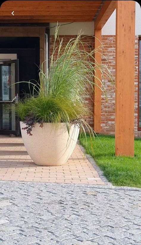 Larger Planter Pots, Large Planters Front Of House, Landscaping With Large Planters, Large Outdoor Potted Plants, Large Pots In Front Of House, Large Flower Pot Ideas Outdoor Planters, Large Plant Pots Outdoors, Plants For Large Pots Outdoor Planters, Large Potted Plants Outdoor Landscaping