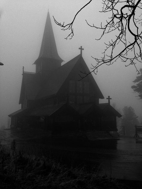 Paradis Sombre, Images Terrifiantes, Beauty Fotografie, Foggy Day, Dark Paradise, 다크 판타지, Gothic Aesthetic, Witch Aesthetic, Goth Aesthetic