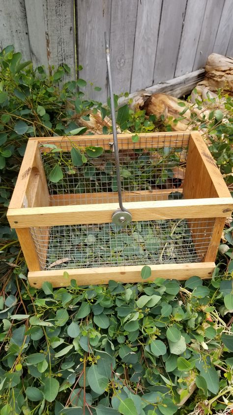 Another garden hod made from oak with heavy wire handle. Great for harvesting fruit and washing Garden Harvest Basket Diy, Garden Basket Diy, Harvest Basket Diy, Garden Hod Diy, Diy Garden Basket, Diy Harvest Basket, Garden Hod, Garden Harvest Basket, Garden Baskets