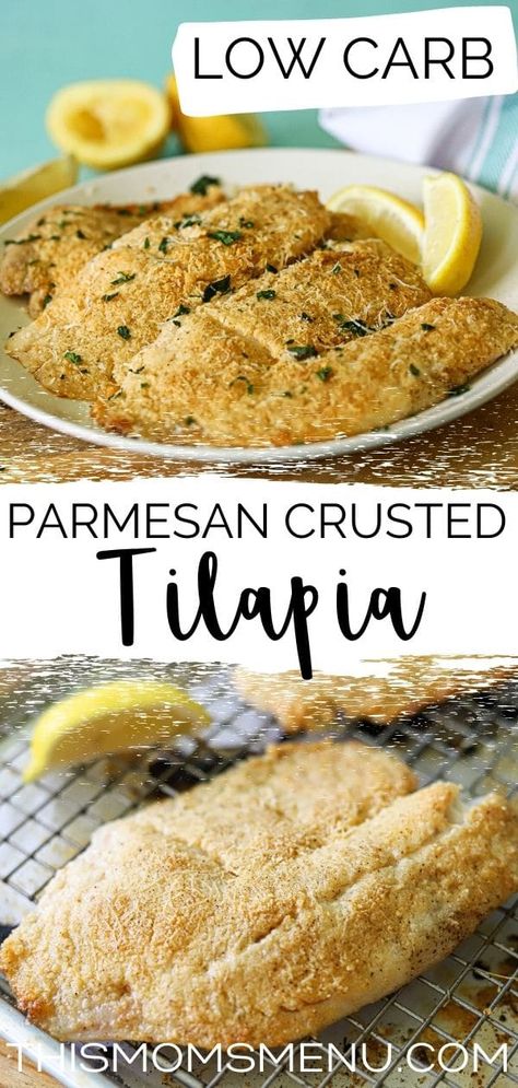 Baked Tilapia Recipes, Parmesan Crusted Tilapia, Crusted Tilapia, Touch Of Spice, Baked Tilapia, Lazy Keto, Tilapia Recipes, Low Carb Baking, Parmesan Crusted