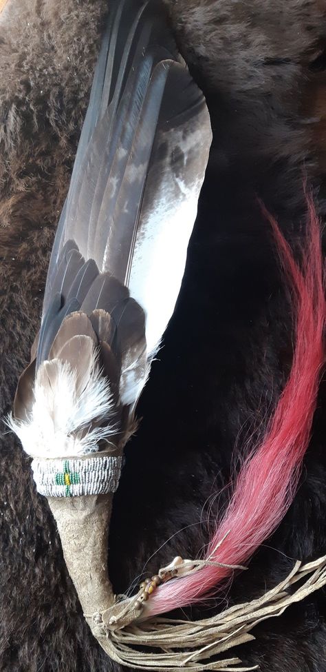 Native American Feathers, Eagle Feather, Indian Beadwork, Plains Indians, Eagle Feathers, Old Fan, Eagle Wings, Beadwork Designs, Feather Fan