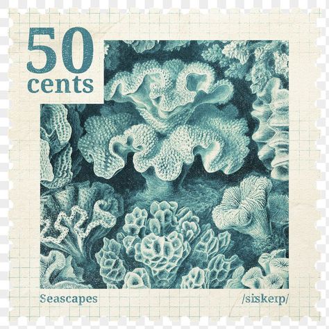 Coral Illustration, Tape Aesthetic, Png Aesthetic, Pixel Image, Journal Aesthetic, Torn Paper, 50 Cent, Black Butterfly, Postage Stamp