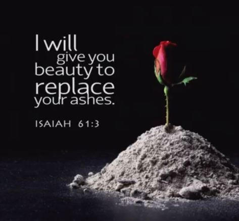 Isaiah 61:3 Beauty For Ashes Scripture, Faith Board, Psalms 91, Beauty For Ashes, Garment Of Praise, Isaiah 61, Verse Wallpaper, Quotes Bible, A Course In Miracles