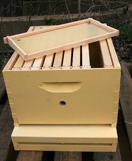 Woodworking tutorial: How to Make a Bee Box, from Squash Blossom Farm. #hive #beekeeping #honeybee Box Sandwich, Bee Hives Boxes, Bee Hive Plans, Backyard Bee, Beekeeping For Beginners, Raising Bees, Woodworking Tutorials, Backyard Beekeeping, Bee Boxes