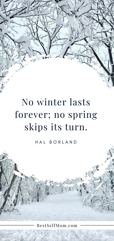 This Is My Season Quotes, No Winter Lasts Forever Quote, Seasons Of Change Scripture, Seasons Quotes Changing, Winter Time Quotes, End Of Winter Quotes, Hard Seasons Of Life Quotes, Changing Seasons Quotes, New Season Of Life Quotes