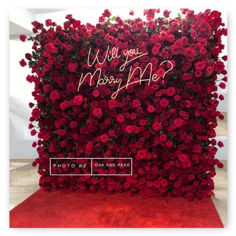 Red Proposal, Rose Neon Sign, Proposal Backdrop, Wedding Proposal Ideas Engagement, Red Rose Arrangements, Beauty And Beast Wedding, Magenta Wedding, Booth Decor, Red Backdrop