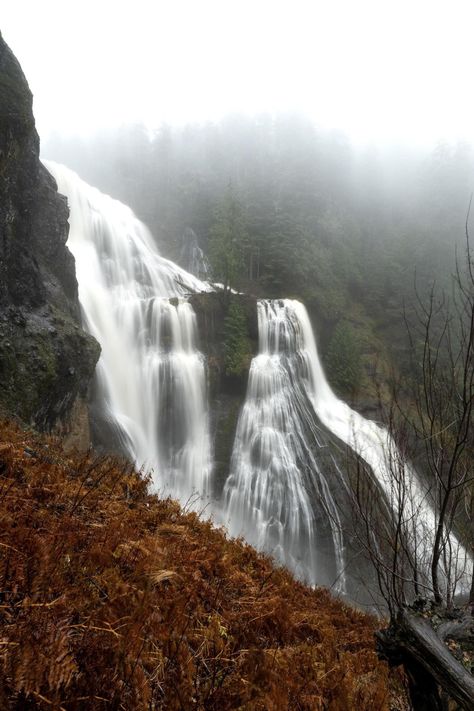 Worldson — Fog and Flow - Washington State [OC] [2154x3231] -... Washington State, Nature Wallpaper, Places To Go, Washington, Things To Do, Poetry, Travel, Nature