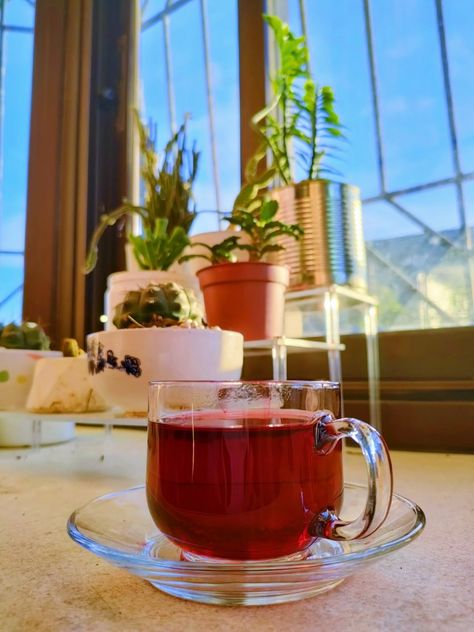 Hibiscus Tea on a sunny afternoon Anime Drinking Tea, Hibiscus Tea Aesthetic, Tea Cottagecore, Tea Aesthetic, Anime Drinking, Hibiscus Tea, Daily Affirmation, Cottagecore Aesthetic, 2024 Vision