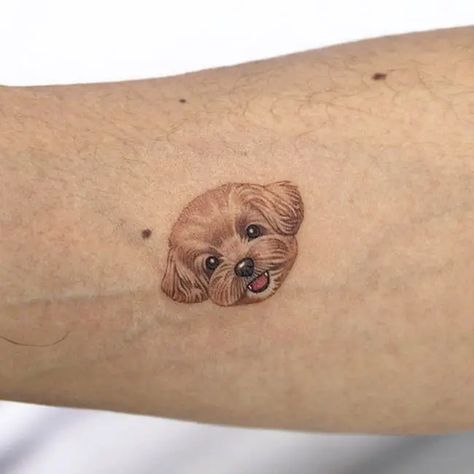 Dog face tattoo Tattoo Ideas Book, Dog Face Tattoo, Small Face Tattoos, Little Rose Tattoos, Puppy Tattoo, Small Dog Tattoos, Dog Tattoo Ideas, Green Tattoos, Dog Memorial Tattoos