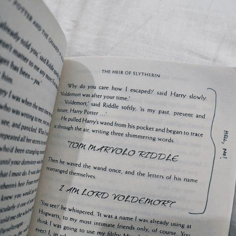 Harry Potter Annotation, Hp Book, The Chamber Of Secrets, Harry Potter And The Chamber Of Secrets, Chamber Of Secrets, Book Annotation, The Secret, Harry Potter, Writing