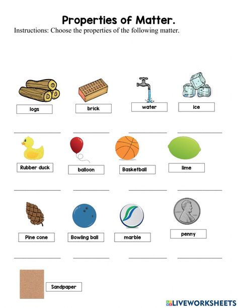 Properties Of Matter Worksheet, Matter Science Activities, Physical Properties Of Matter, Matter Activities, States Of Matter Worksheet, Excretory System, Matter Worksheets, Matter Science, Properties Of Matter