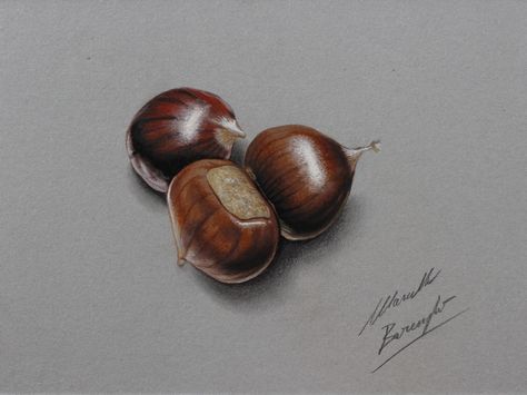 Chestnuts drawing by marcellobarenghi.deviantart.com on @deviantART Jewelry Sketching, Marcello Barenghi, Pencil Drawing Pictures, Cool Pencil Drawings, Food Painting, 3d Drawings, True Art, Still Life Art, Realistic Art