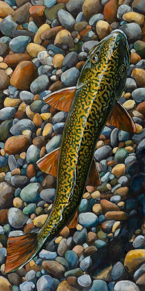 Salmon Animal, Watercolor Salmon, Trout Painting Acrylic, River Fish Painting, Brown Trout Drawing, Rainbow Trout Painting, Fish Rugs, Trout Oil Painting, Trout Painting