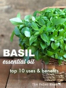 There's so many uses for Basil during the summer. Basil Essential Oil Benefits, Bio Oil Pregnancy, Oils Benefits, Edible Weeds, Doterra Recipes, Inner Landscape, Basil Essential Oil, Natural Things, Doterra Essential Oils Recipes