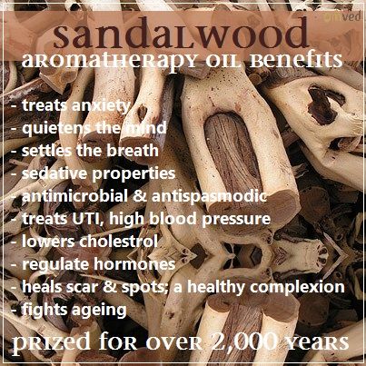 Sandalwood Magical Properties, Sandalwood Incense Benefits, Sandalwood Essential Oil Benefits, Herbal Monographs, Incense Benefits, Sandalwood Benefits, Witchy Plants, Cloves Health Benefits, Holistic Healing Natural Treatments