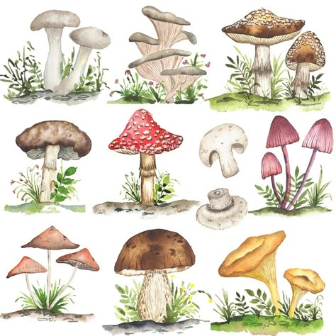 Bordado Jacobean, Painted Mushrooms, Fungi Illustration, Watercolor Tubes, Forest Mushrooms, Mushroom Paint, Art Philosophy, Little Forest, Mushroom Drawing