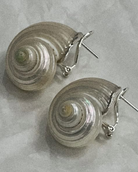 Una earrings / see shell / silver 925 / 17600 r Dream Summer, Conch Earring, Shell Earrings, Conch, Summer Aesthetic, Silver 925, Jewelry Box, Shells, Silver