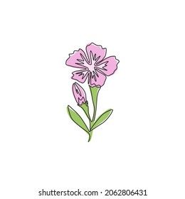 Sweet Williams Tattoo, Sweet William Flowers Tattoo, Sweet William Flowers, Dianthus Barbatus, Small Girl Tattoos, Small Girl, Sweet William, Flowers Tattoo, Lotus Flower Tattoo