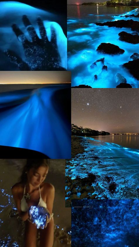 Beautiful bioluminescence Bio Illuminance Water, Bioluminescence Beach Florida, Bioluminescence Maldives, Bioluminescence Beach Aesthetic, Luminous Lagoon Jamaica, Bioluminescent Fish, Bioluminescence Beach, Bioluminescence Aesthetic, Aesthetic Dates