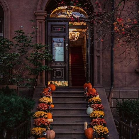 Seasonal_Witch (@seasonal_witch) • Instagram photos and videos Fall Front Yard Decorations, Boston Autumn, Front Porch Fall Decor Ideas, Boston In The Fall, Porch Fall Decor, Fall Front Door Decor, Front Porch Flowers, Fall Front Porch Decor Ideas, Fall Front Porch Ideas