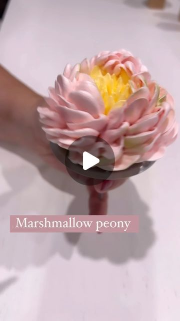 Zhanna Kazantseva  Marshmallow flowers artists  Online classes on Instagram: "Marshmallow peony my passion, my love❤️" Marshmallow Bouquet Diy, Marshmallow Flowers Recipe, Piping Marshmallow Recipe, Zefir Marshmallow Flowers Recipe, Zefir Marshmallow Flowers, Marshmallow Flowers How To Make, Meringue Flowers, Marshmallow Flower Cupcakes, Marshmallow Flower