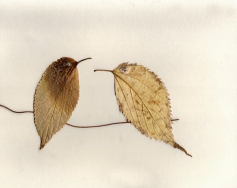 birds made from leaves. Should be nice as a greeting card and ideal for autumn Stary Papier, Dry Leaf Art, Illustration Kunst, Pressed Flower Crafts, Leaf Crafts, Pressed Flower Art, Nature Crafts, Autumn Art, Leaf Art