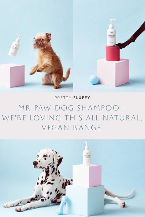 Cruelty Free Cleaning Products, Dog Grooming Products, Best Dog Shampoo, Natural Dog Shampoo, Pet Brand, Dog Brand, Living With Dogs, Vegan Dog, Pet Wipes