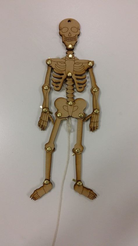 Lasercut moving skeleton by Yngel - Thingiverse Skeleton System, 3d Skeleton, Skeletal System, Human Skeleton, Ice Cream Stick, Card Tricks, Saved Pins, Paying Attention, Skeletal