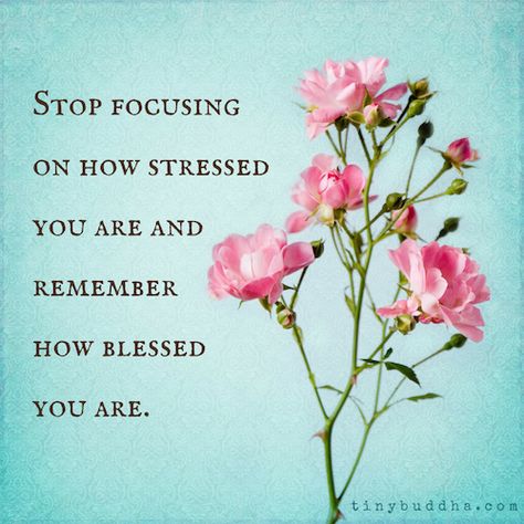 Stop Stressing Quotes, Stressing Quotes, Stop Stressing, Thankful Quotes, Tiny Buddha, Calm Quotes, Gratitude Quotes, Gratitude Journal, Amazing Quotes