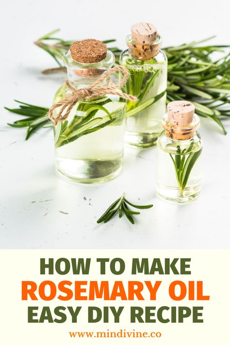 How To Make Your Own Rosemary Oil, Homemade Rosemary Oil, Diy Rosemary Oil, Rosemary Oil For Skin, Make Rosemary Oil, How To Make Rosemary Oil, Diy Rosemary Essential Oil, How To Make Thyme Oil, Rosemary Oil Benefits