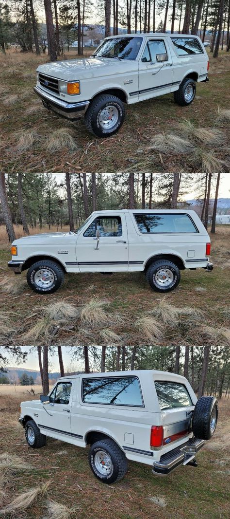 90s Ford Bronco, 1989 Ford Bronco, Ford Bronco 1996, Barn Finds For Sale, Old Ford Bronco, Bronco Truck, Classic Ford Broncos, Ford Broncos, Dream Trucks