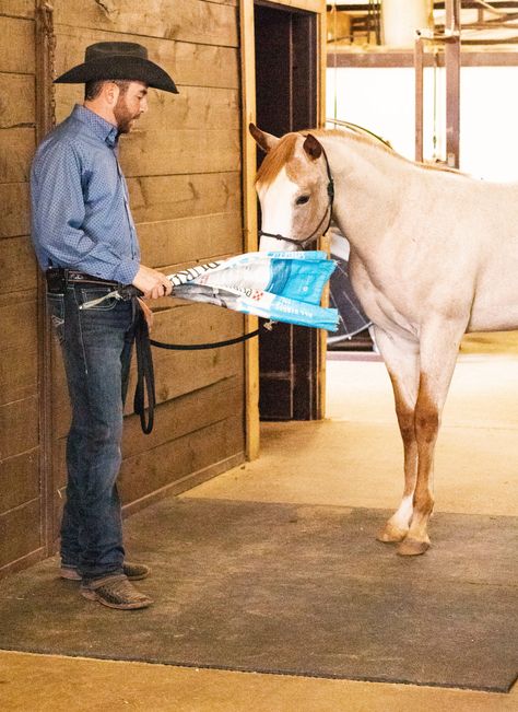 Desensitizing Horses, Horse Desensitizing, Foal Training, Horse Barn Ideas Stables, Horse Training Tips, Feed Bags, Scary Monsters, Barn Ideas, Horse Barns